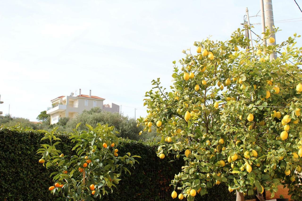 Helen'S Sounio Apartments Sounion Exterior photo
